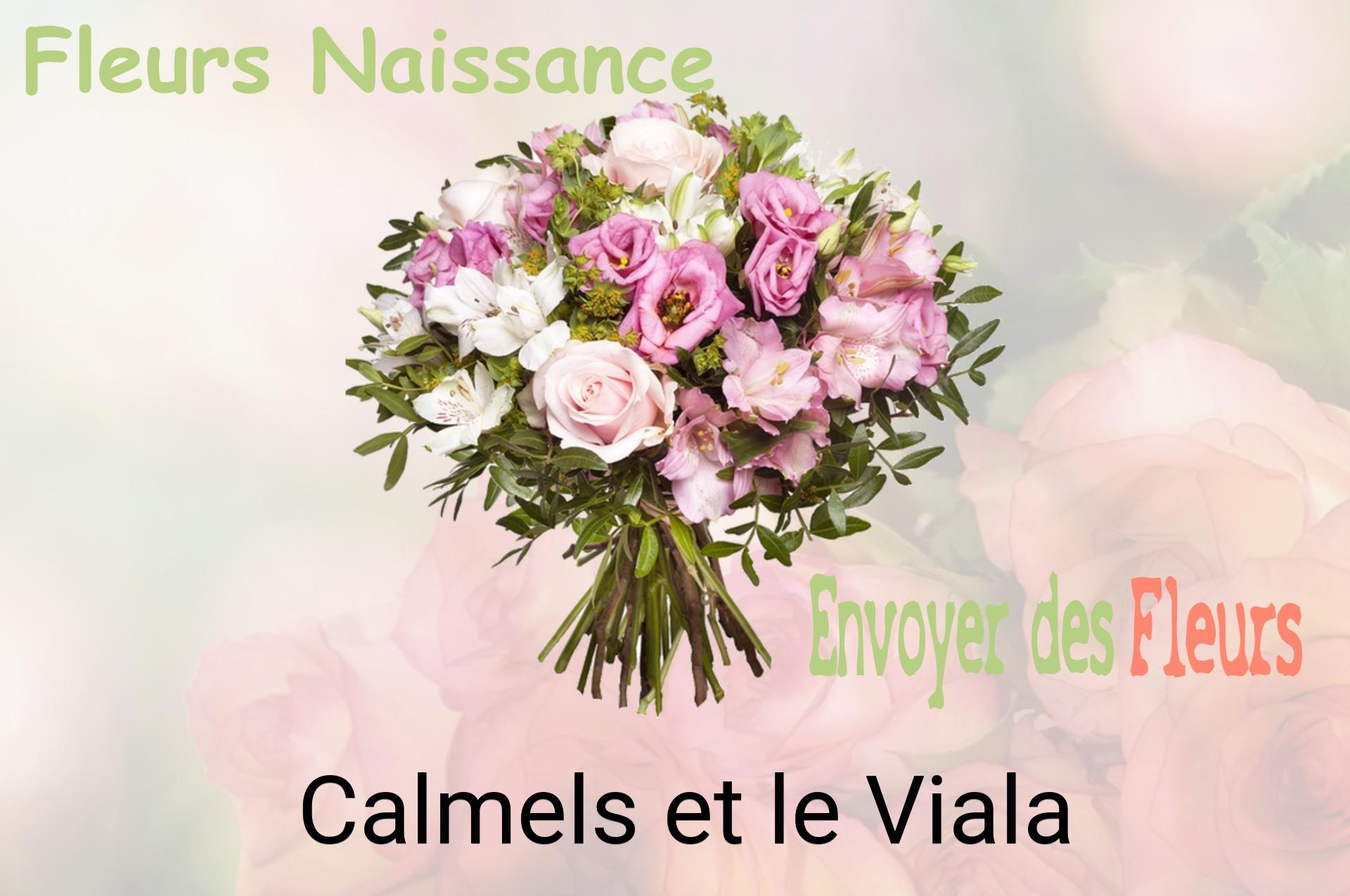 Bouquet de fleurs de naissance livré à Calmels-et-le-Viala