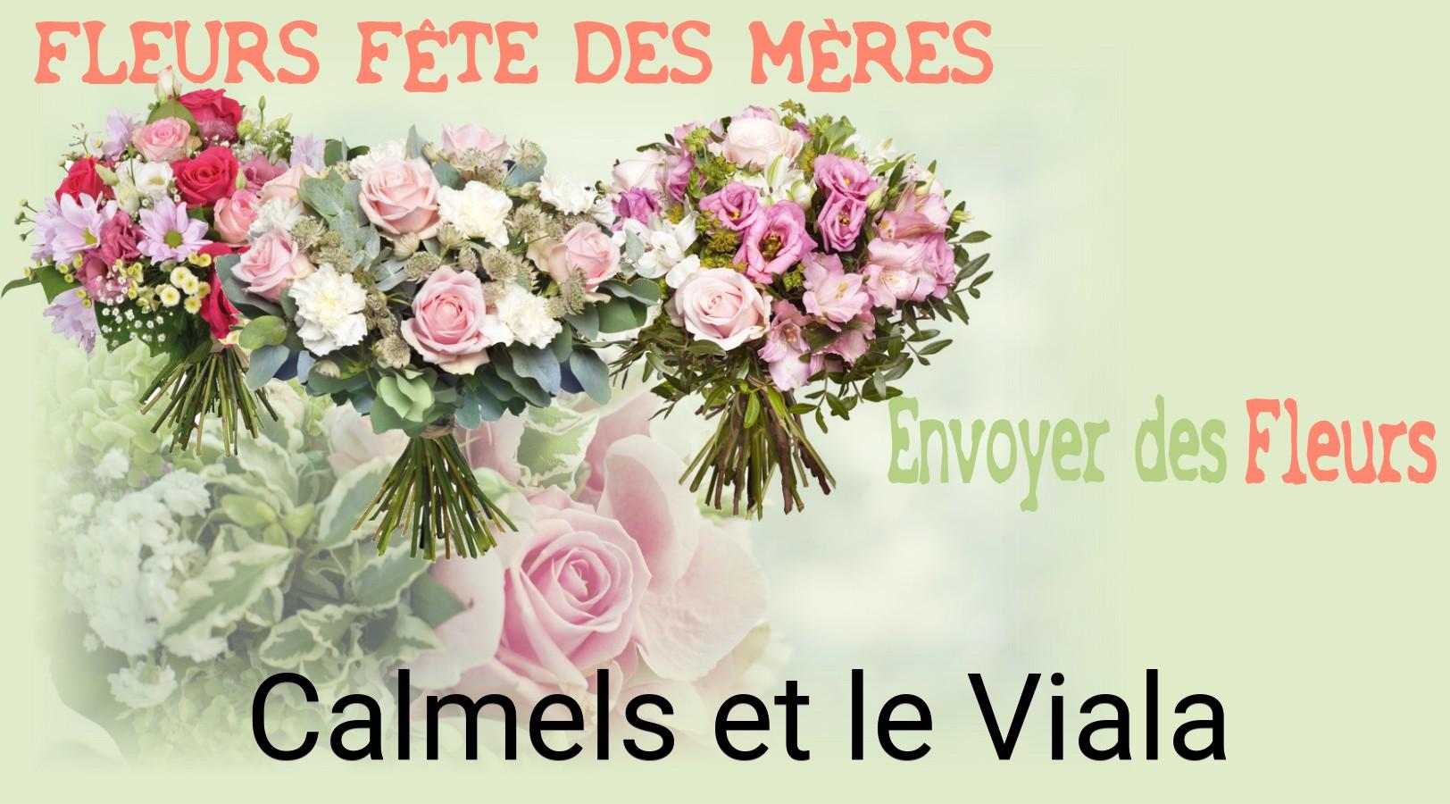 Bouquet de Fête des Mères livré à Calmels-et-le-Viala